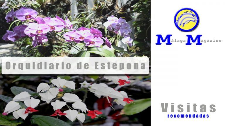 La mayor colección de Europa de Orquídeas Vivas expuestas al público