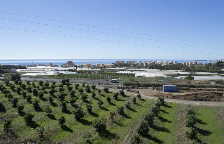 El nuevo edificio IHSM albergará la investigación básica que se desarrolla en La Mayora