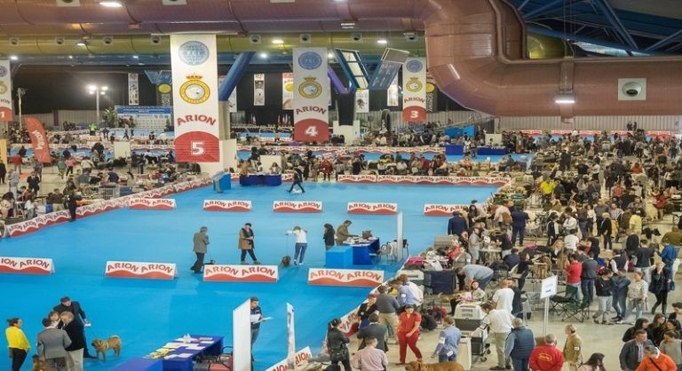 Málaga acogerá en noviembre ‘Mediterrean Winner’, uno de los principales certámenes caninos del mundo