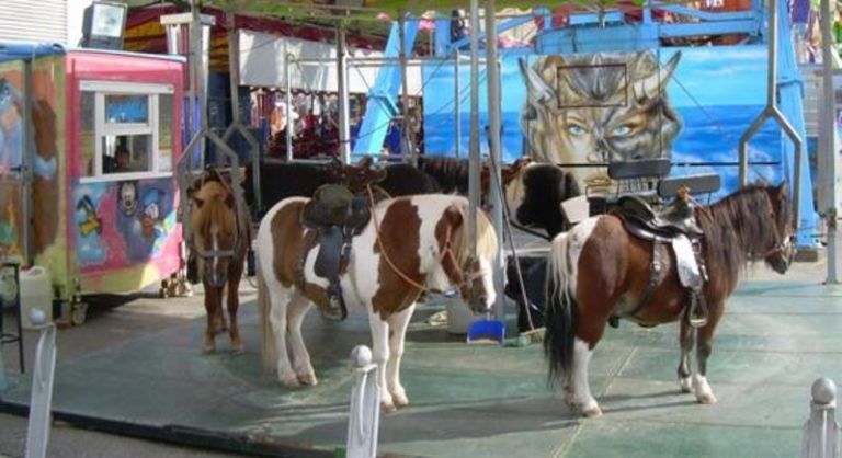 El PSOE Málaga rectifica en su modelo para el uso de caballos en la Feria de Málaga