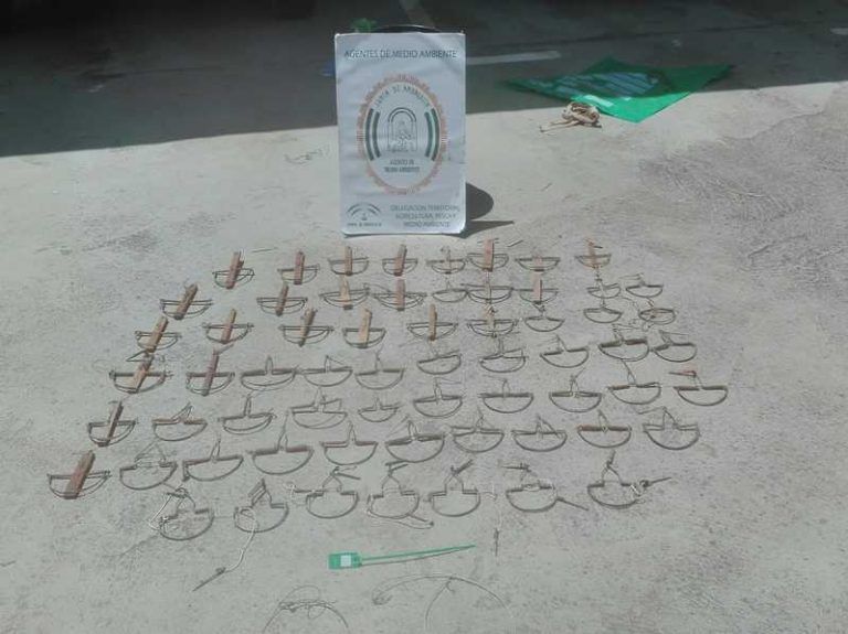 Los Agentes de Medio Ambiente se incautan de más de 100 trampas en el marco de la Estrategia Andaluza contra el Veneno