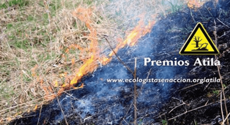 Con motivo del Día Mundial del Medio Ambiente se hace público la concesión del Premio Atila, Caballo de Atila y Azote de Atila