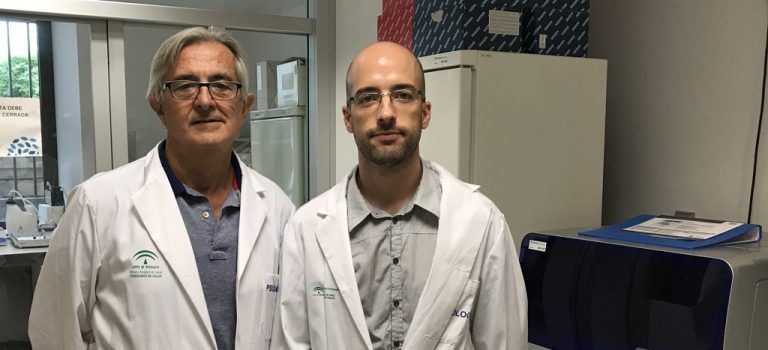 Profesionales malagueños estudian la carga genética del suicida en personas con problemas de salud mental