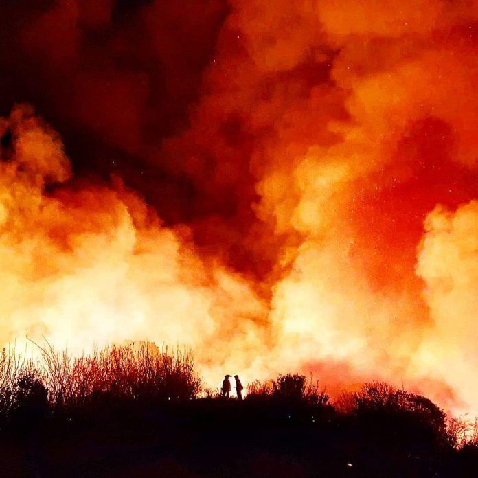 Imagen archivo incendio Estepona (Infoca)