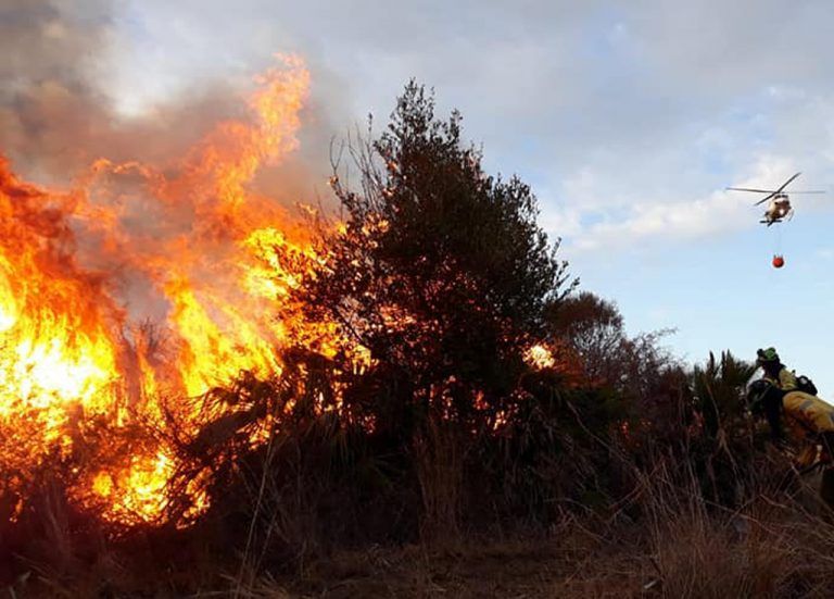Controlado, según el INFOCA, un nuevo incendio en Marbella