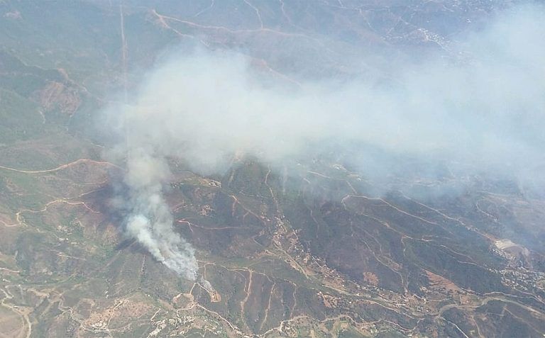 (Vídeo) Incendio de Peñas Blancas, en Estepona