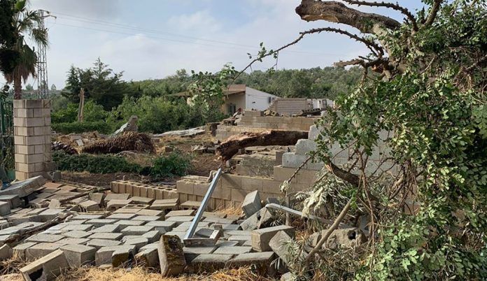 Una parcela dañada tras el paso de uno de los tornados por Campillos (Ayuntamiento Campillos)