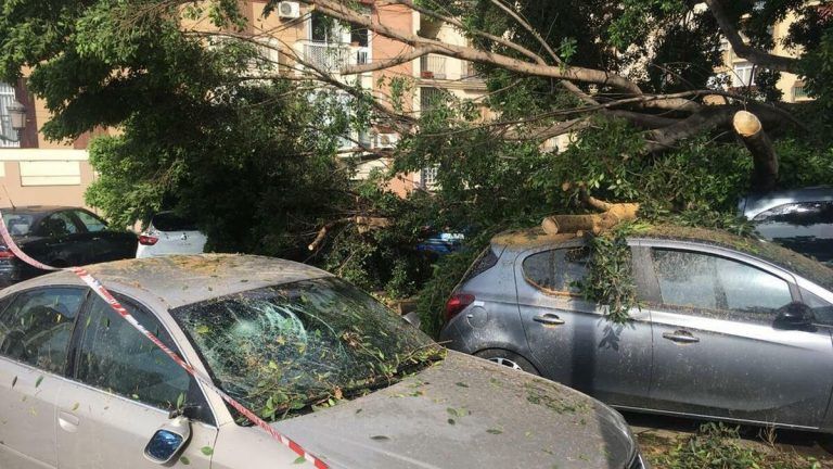 El Consorcio de Compensación de Seguros de la provincia de Málaga estima una valoración provisional  que asciende a 5,3 millones de euros