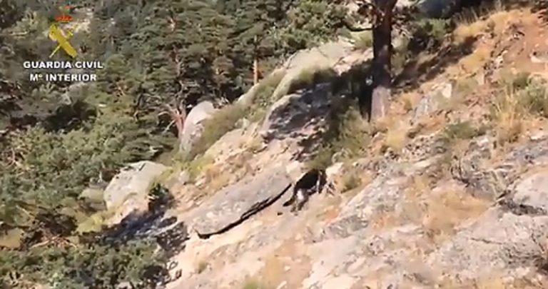 Encontrado el cadáver de Blanca Fernández Ochoa