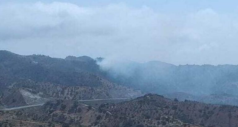Controlado un incendio en una zona forestal de Málaga