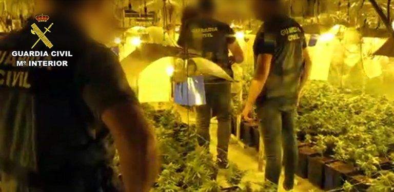 ‘Novedosa’ plantación indoor de marihuana en Almogía