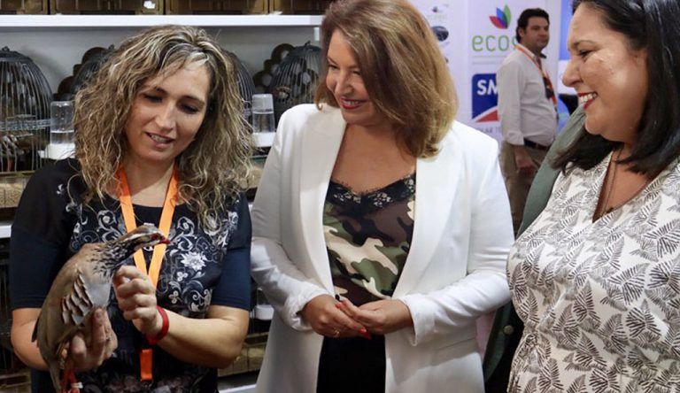 La caza moviliza 3.500 millones de euros en la comunidad autónoma