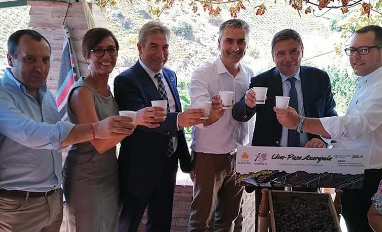 El ministro de Agricultura conoce de cerca el cultivo de la uva pasa moscatel y su producción