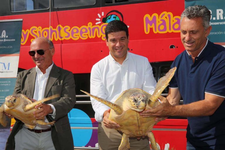 Devueltas al mar dos ejemplares de tortuga boba atendidas durante varios meses en el CREMA