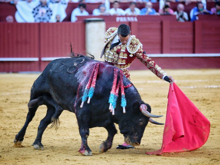 Manzanares gana su cuarto Estoque de Plata ‘Antonio Ordóñez’ de la Diputación de Málaga