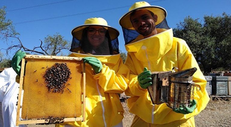 La UMA adopta una colmena del programa de apoyo ‘Bee Garden’