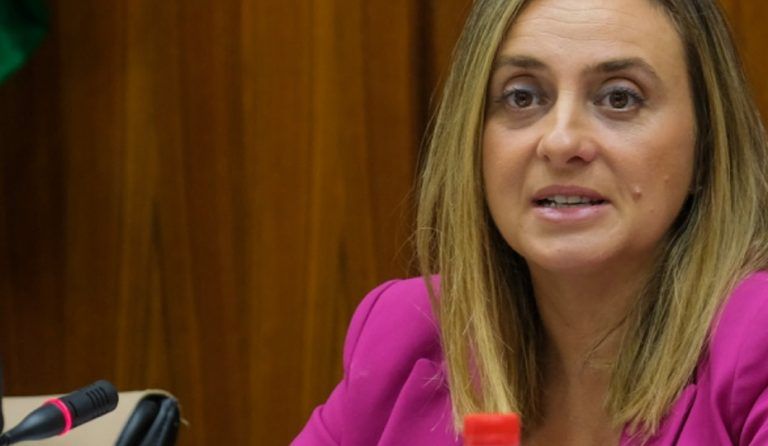 Las obras del carril BUS-VAO del PTA de Málaga están ya al 36% de ejecución