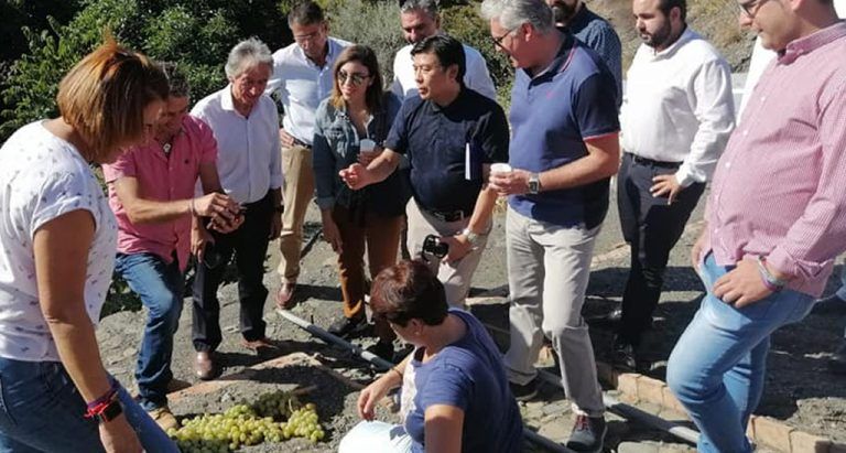 La delegación del SIPAM de la FAO de visita en Almáchar