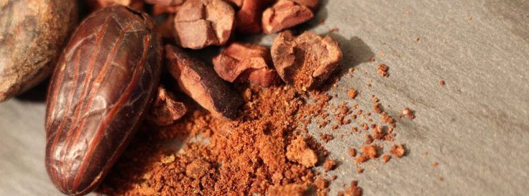 Por primera vez se ha conseguido cultivar cacao en Europa