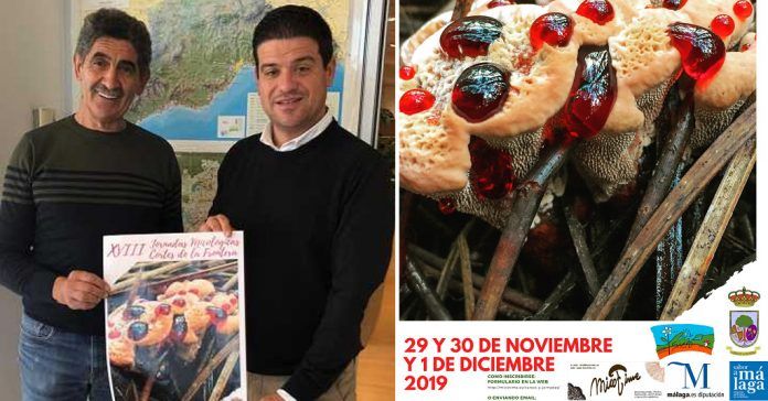 Cortes de la Frontera celebra la XVIII edición de sus Jornadas Micológicas (Diputación de Málaga)