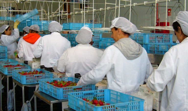 Desde el 7 de noviembre, las mujeres españolas trabajan gratis