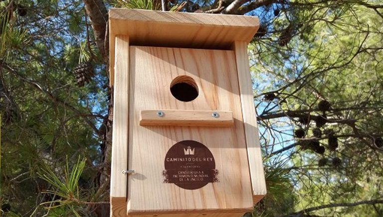 Escolares colocan 160 cajas nido para aves insectívoras en el entorno del Caminito del Rey
