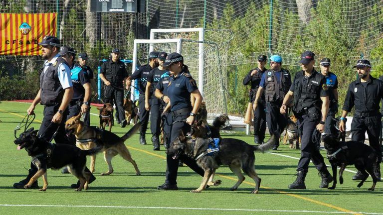Perros policía detectan droga durante una exhibición en un instituto de Marbella