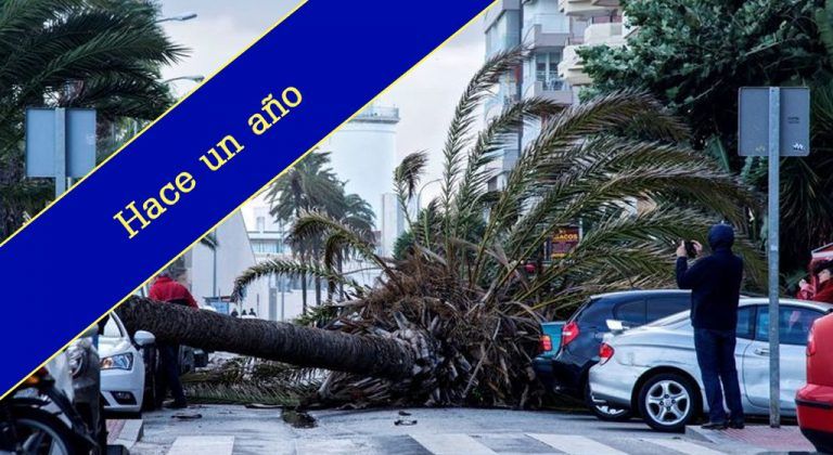 ‘Hace un año’: El temporal de viento causa más de 80 incidencias en la provincia malagueña