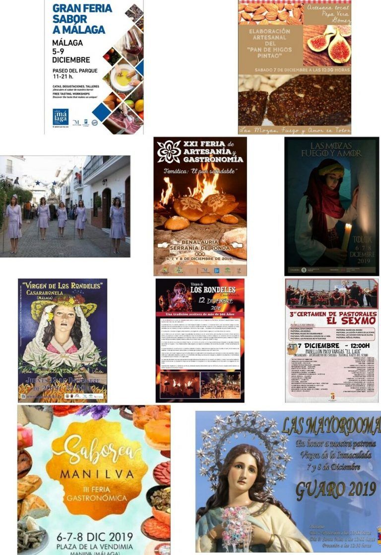 #OCIO . Tenemos un Macropuente y te contamos que puedes hacer y que visitar. ¿ Te apuntas?