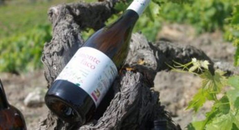 Dentro Video!! Monte Faco un vino de la Cooperativa  Ucopaxa para momentos inolvidables.