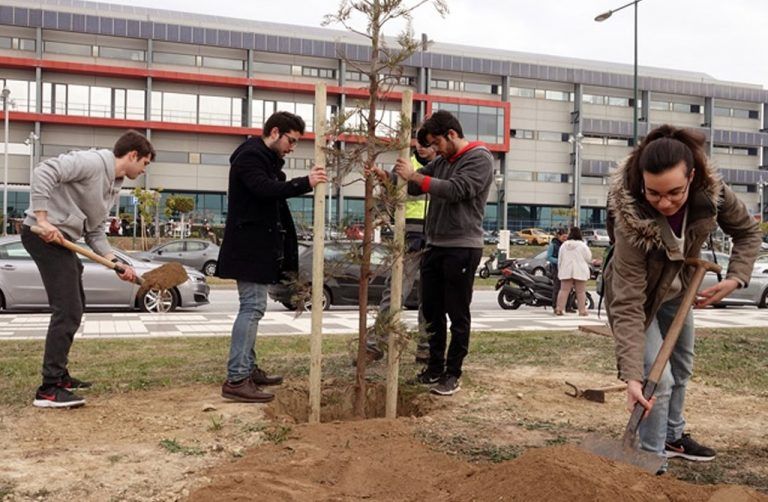 (Vídeo) La UMA comienza el año plantando árboles autóctonos en el Campus de Teatinos