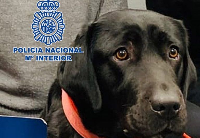 La Policía detiene al adiestrador de ‘Pocahontas’