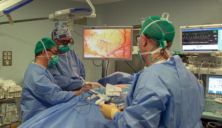 El Hospital Regional de Málaga realiza 200 trasplantes en 2019