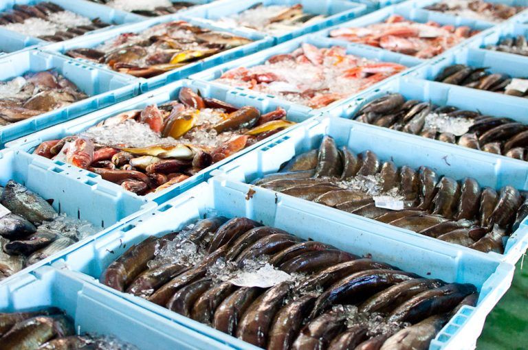 Crespo resalta que la plataforma de pesca extenderá la venta ‘on line’ a las 25 lonjas andaluzas