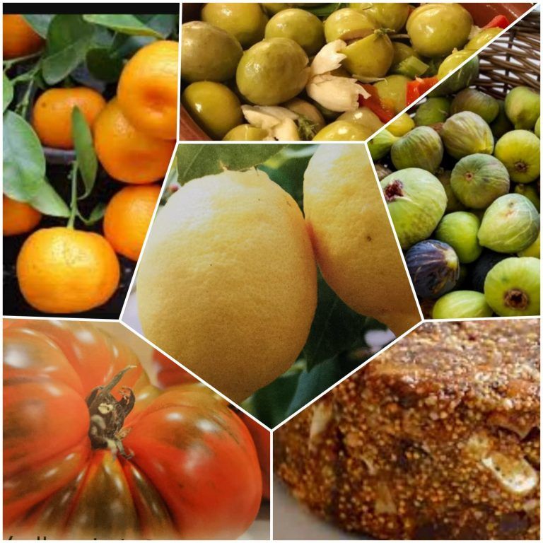 Valle del Guadalhorce: «La Huerta de Málaga»