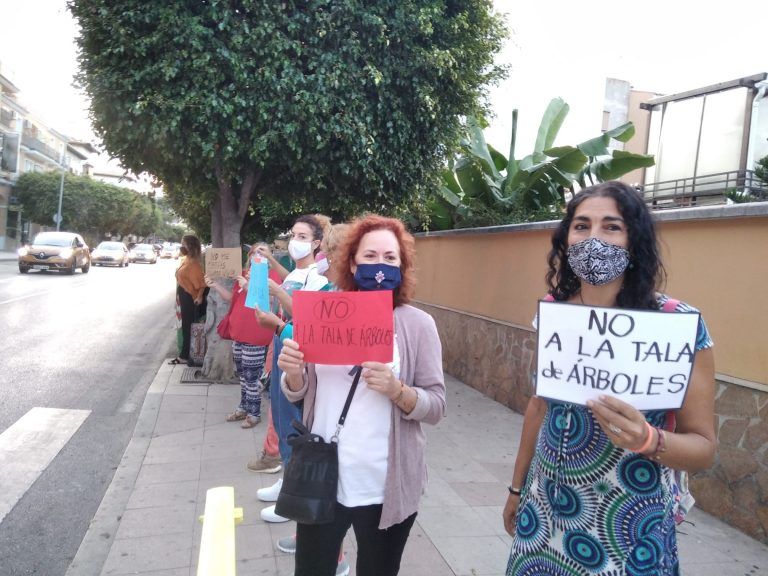 Los vecinos de La Cala del Moral en pie de guerra contra la tala de árboles