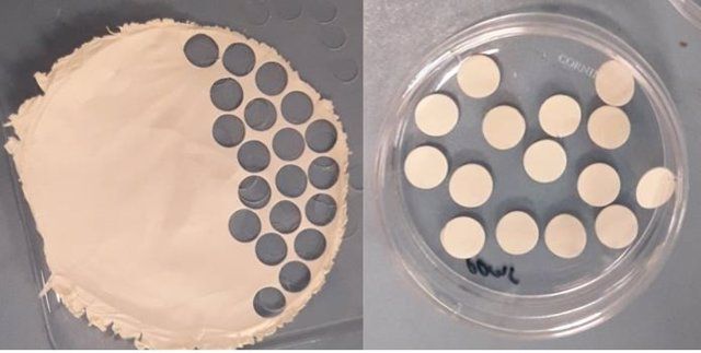 Investigadores de La Mayora crean una tirita con restos de lana desechados que regenera células de la piel