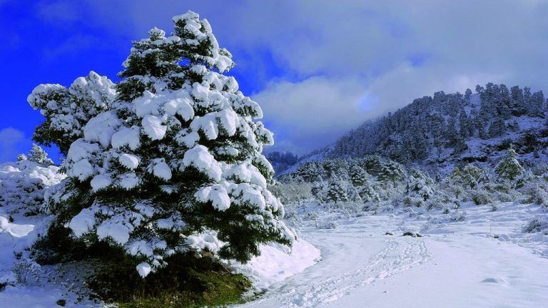 Un nuevo parque nacional en 2021 «Sierra de las Nieves»