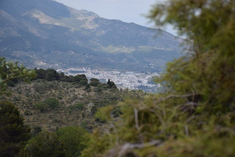 La Junta coordina un dispositivo para prevenir aglomeraciones e incidencias en la Sierra de las Nieves