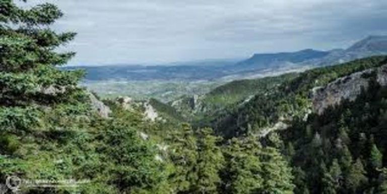 Moreno valora la próxima declaración de Sierra de las Nieves como Parque Nacional: «Un hito muy esperado»