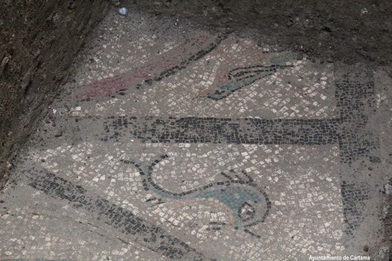 El Ayuntamiento de Cártama descubre un nuevo mosaico romano