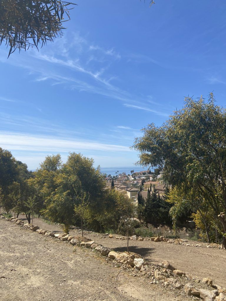 Rincón de la Victoria realiza labores de reforestación para la puesta en valor de un nuevo parque forestal en El Cantal