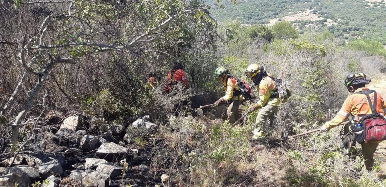 Estabilizado el incendio forestal en Sayalonga