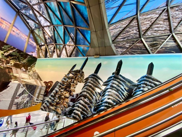 Turismo Costa del Sol desembarca en Madrid con una gran apuesta promocional e inunda sus calles y estaciones de «Costa del Sol»