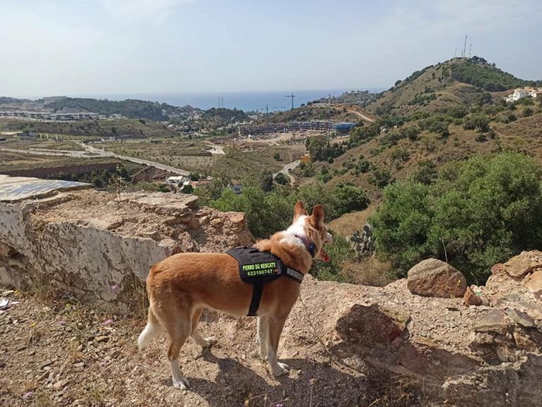 Servicios de emergencia y rescatadores de URESAP intensifican la búsqueda por el Limonar de Juan Carlos