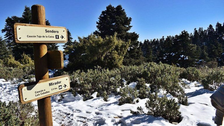 Hoy entra en vigor  la declaración de la Sierra de las Nieves como Parque Nacional