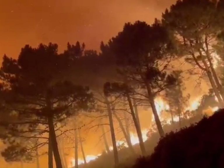 Declarado en Málaga de madrugada un incendio forestal en un paraje de Jubrique