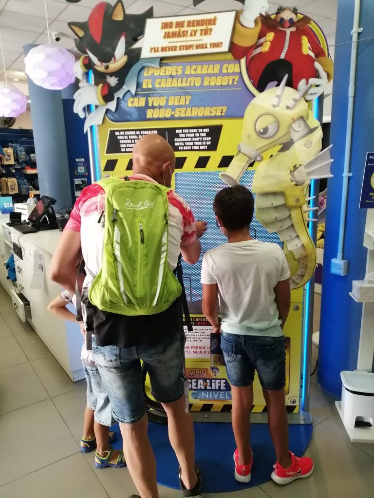 Sea Life Benalmádena impulsa junto a Sonic nuevas actividades para impulsar la conservación del mundo marino