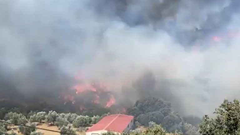 El incendio declarado el pasado domingo en Yunquera ha afectado a más de 20 hectáreas forestales