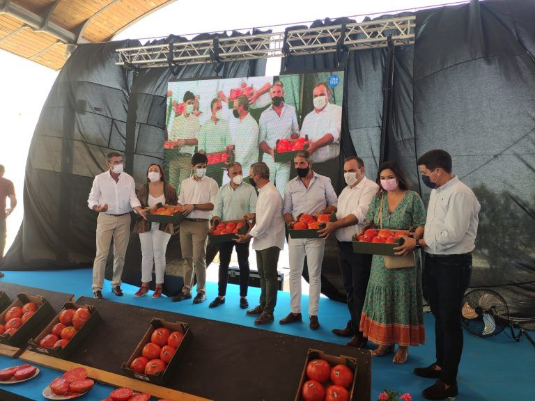Concurso hortofrutícola de Coín y subasta Mejor Tomate Huevo de Toro